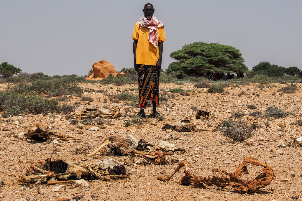 Somalia is in a deadly drought again. Most humanitarian aid isn’t there this time