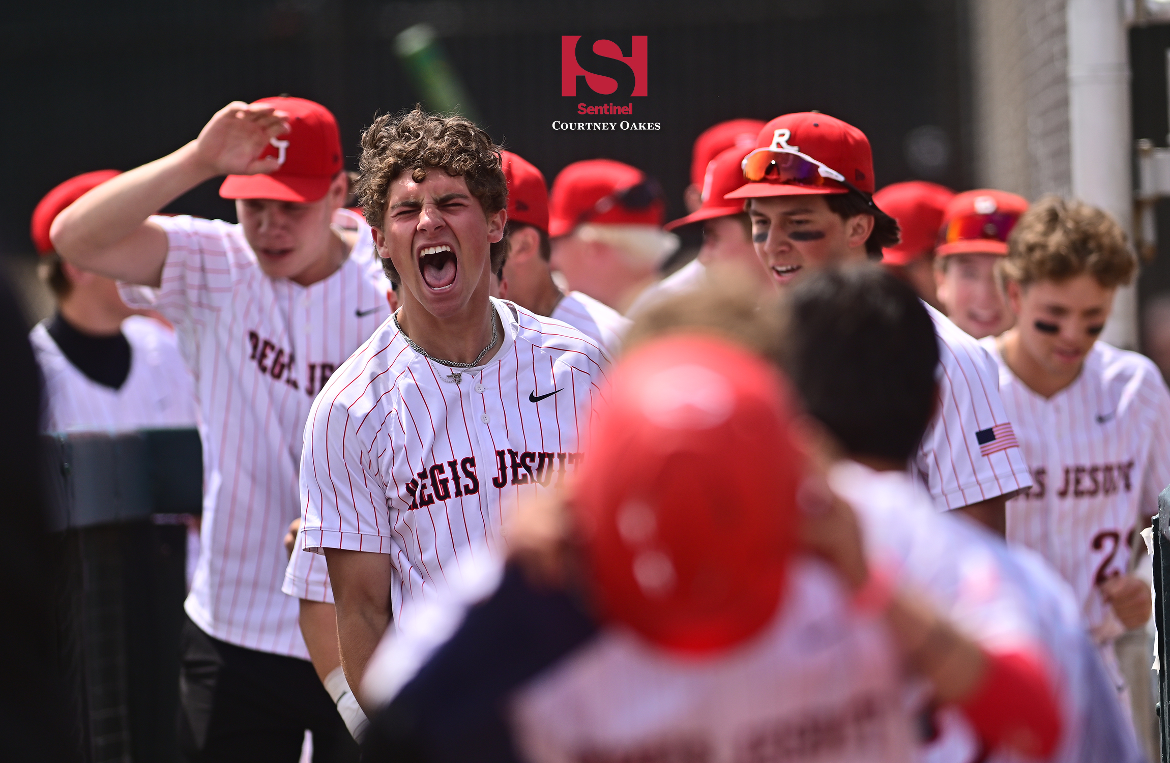 Baseball: Regis Jesuit rallies past Mountain Vista 3-2 to open 5A Championship Series