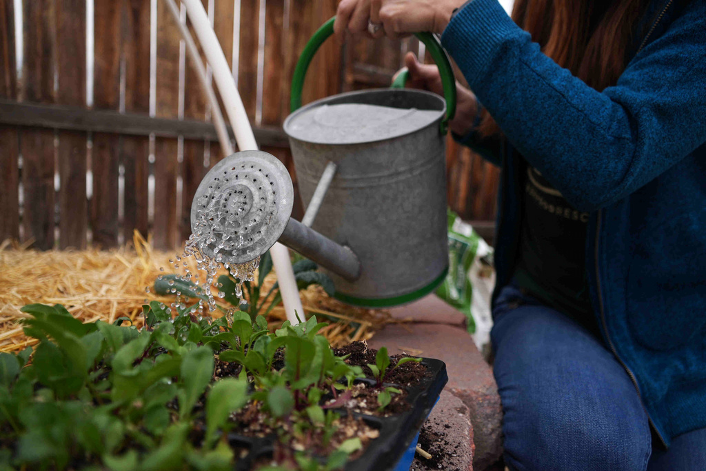 Here’s how to grow your own food with less water, even in a drought