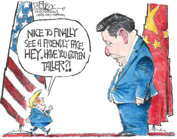 Toon in Wednesday