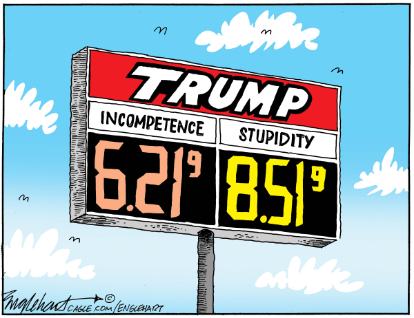 Toon in Tuesday