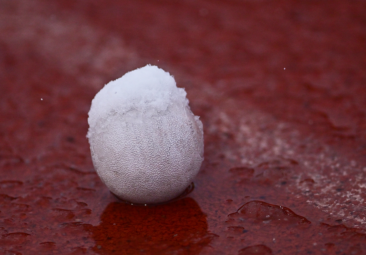 Winter’s back in Aurora, closing schools and downing trees