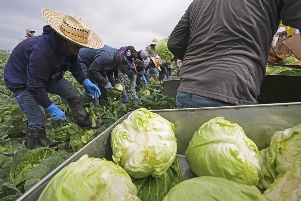 REP. CARTER: I voted yes on farm worker overtime bill. I would do it again.