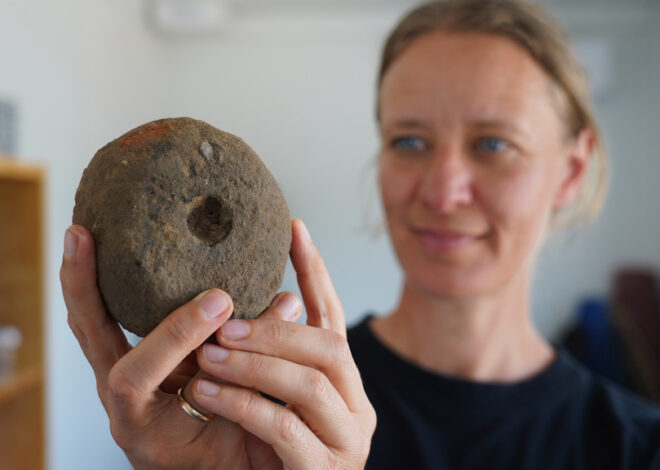 Archaeologists find huge Viking textile production site in Denmark