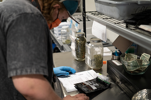 Green goes gray: Older folks in Colorado trying weed in record numbers for help with pain, sleep