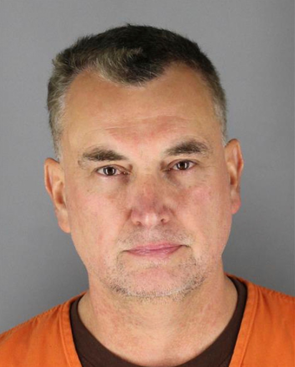 Man pleads guilty to killing a top Minnesota Democrat and her husband while posing as an officer