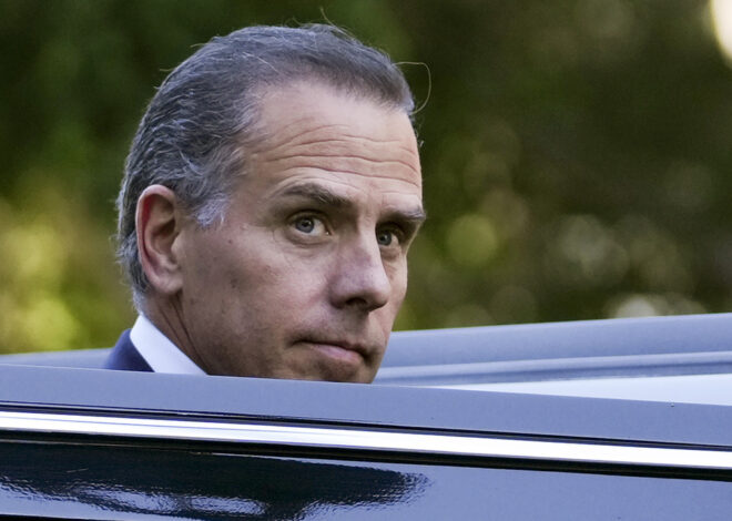 GANDELMAN: America loves a comeback. Meet Hunter Biden, again