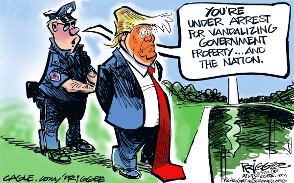Toon in Tuesday