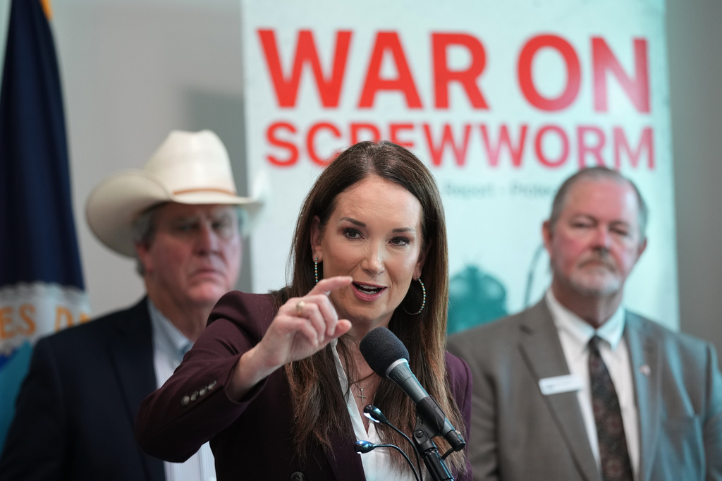 A flesh-eating cattle parasite spreads beyond Texas as new screwworm cases are found