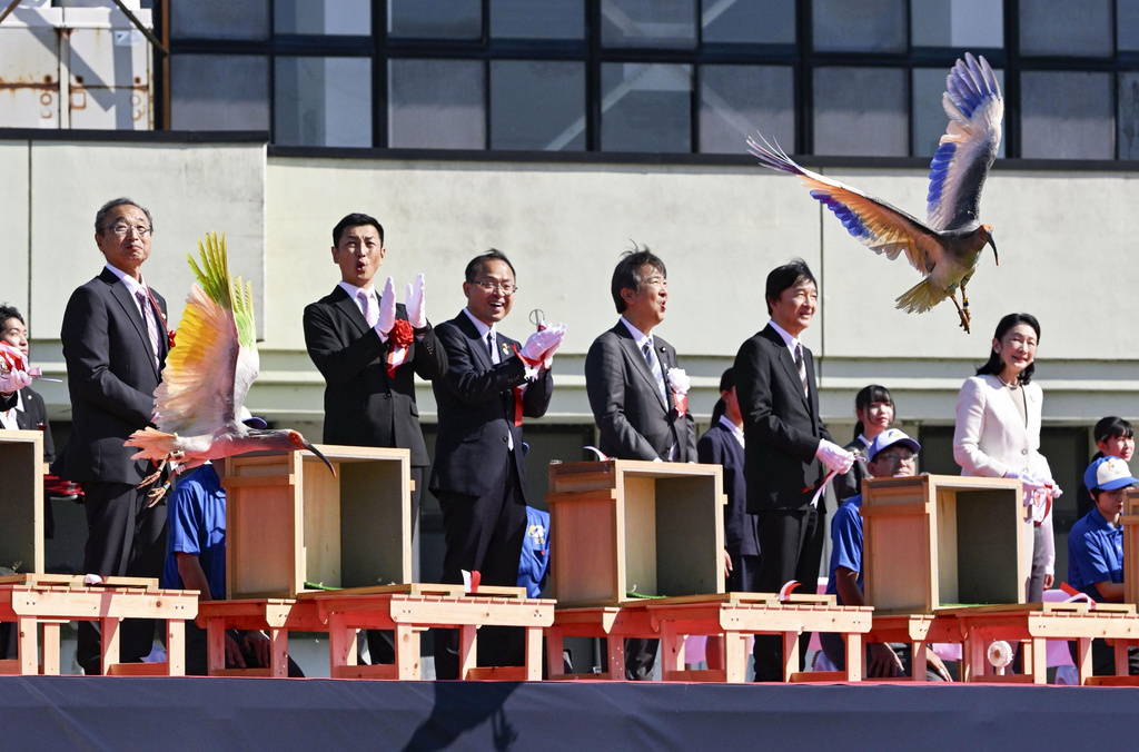 8 crested ibises released in Japanese town decades after extinction in Japan
