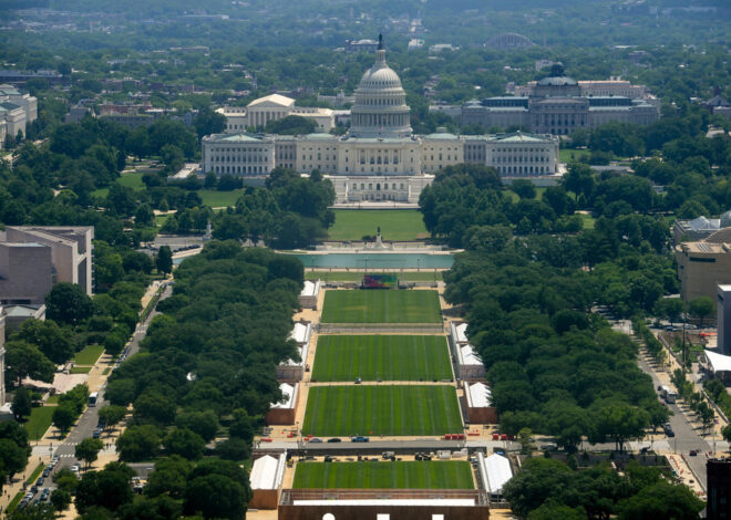 Fewer Americans say democracy is central to country’s identity, AP-NORC poll finds