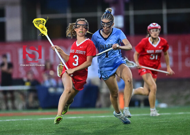 Girls Lacrosse: 2026 Class 5A All-South League teams