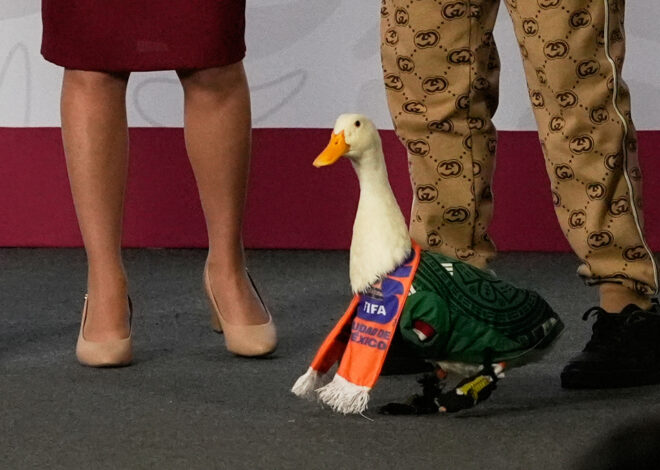 Merlín the duck takes a trip to the stadium, but FIFA rules keep him out of Mexico match