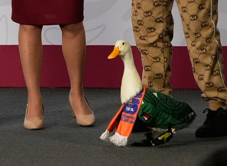 Merlín the duck takes a trip to the stadium, but FIFA rules keep him out of Mexico match