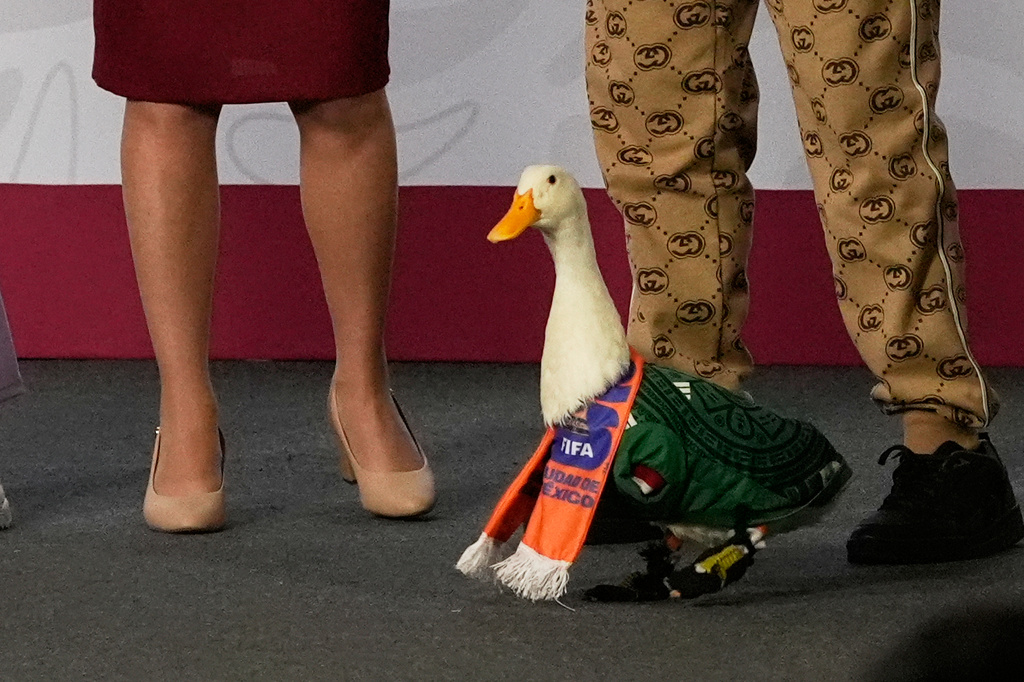 Merlín the duck takes a trip to the stadium, but FIFA rules keep him out of Mexico match