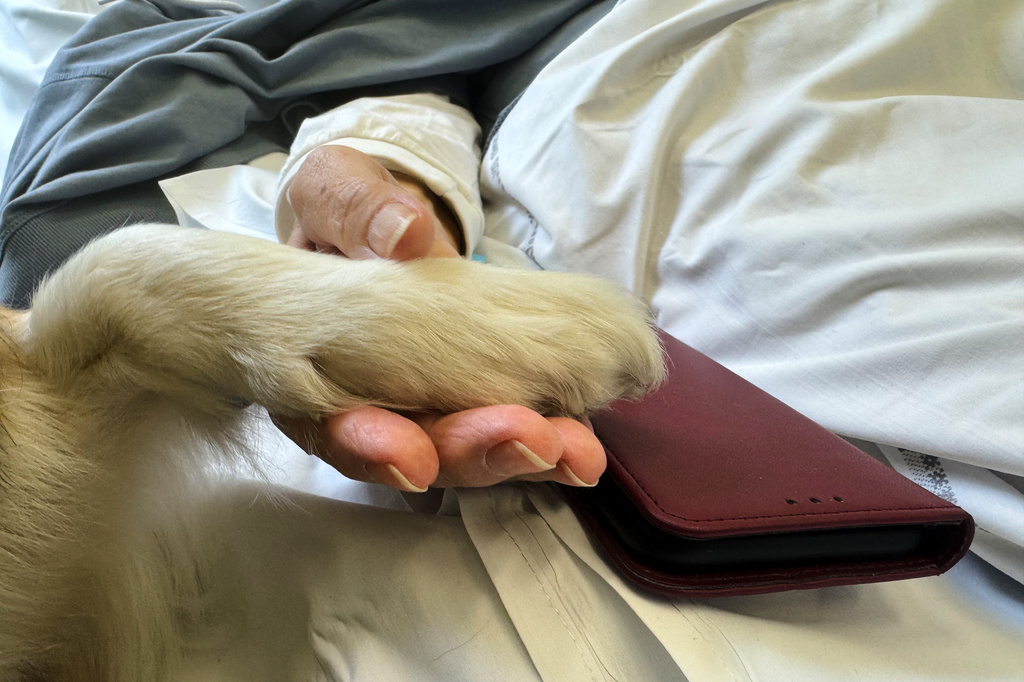 A cancer patient’s cats inspired a push for pets in hospice wards