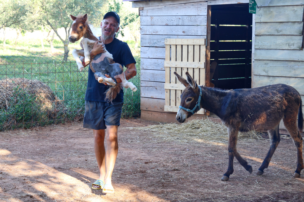 A month-old pony moves to a 4th-floor apartment in Croatia. Neighbors don’t mind