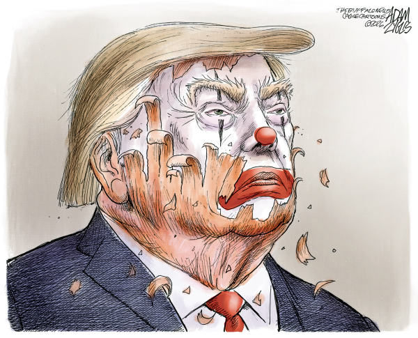Toon in Wednesday