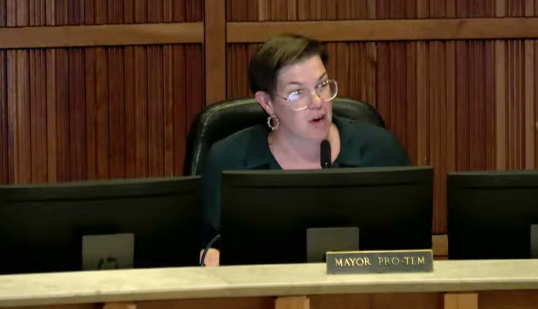 Aurora Council approves initiative to review, boost family support and affordability