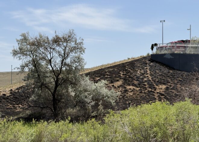 Aurora firefighters prevent damage to structures in brush fire