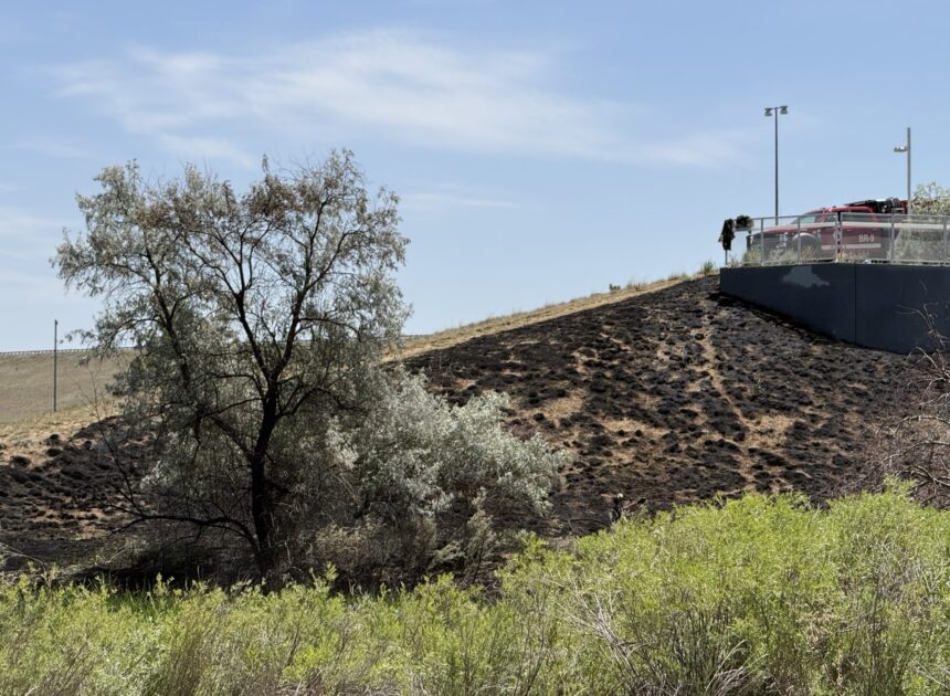 Aurora firefighters prevent damage to structures in brush fire