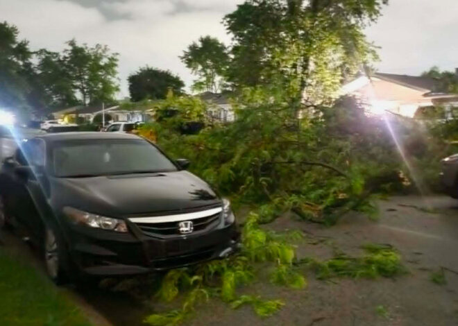 Officials search tornado-damaged areas after strong storms hit Illinois and Indiana