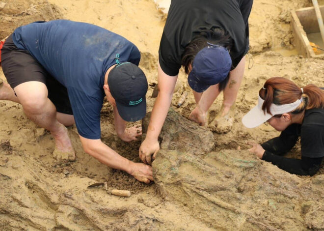 Gold rings around 2,000 years old found during dig at Thailand archaeological site