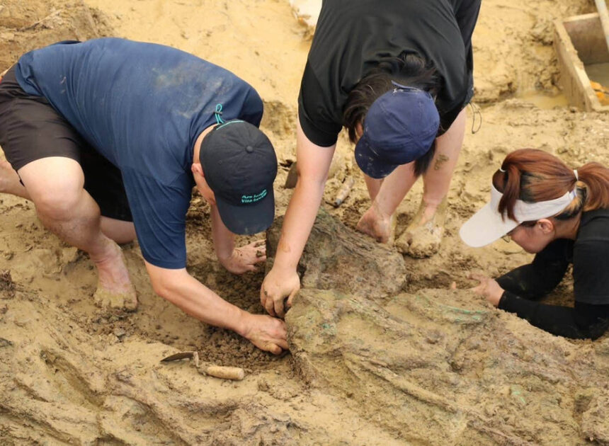 Gold rings around 2,000 years old found during dig at Thailand archaeological site