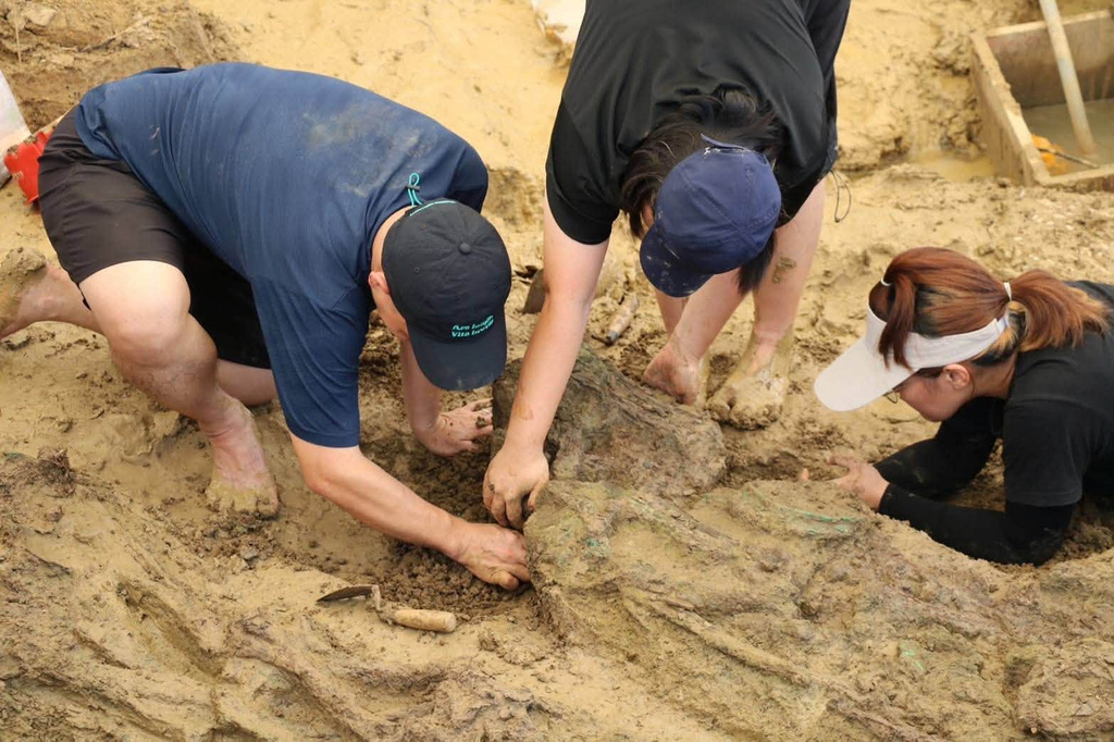 Gold rings around 2,000 years old found during dig at Thailand archaeological site