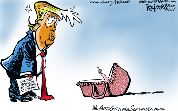 Toon in Wednesday