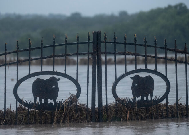 Threat of dangerous flooding continues in Texas while hard-hit areas launch cleanup efforts