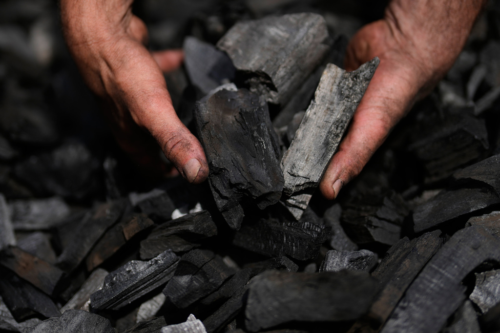 In a German forest, 2 brothers keep the ancient tradition of charcoal burning alive