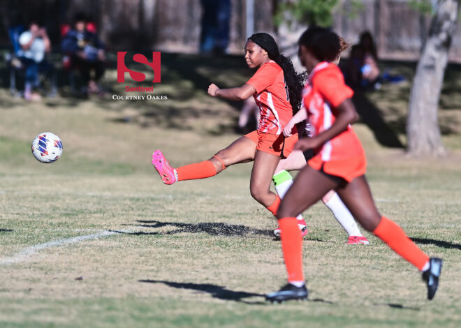 Spring Sports All-Aurora 2026: Full Aurora Sentinel All-Aurora Girls Soccer Teams