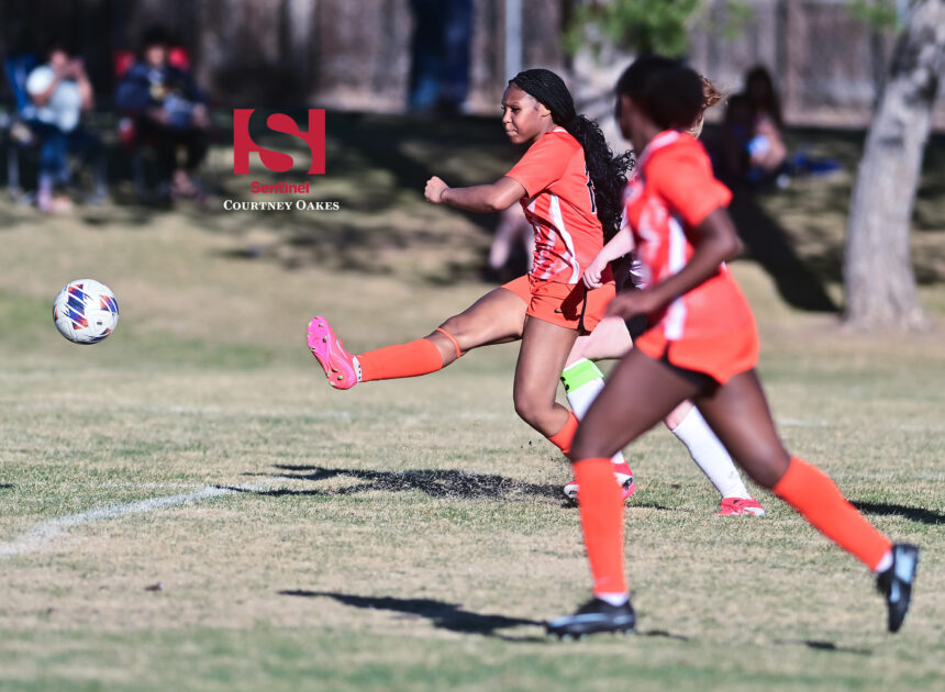 Spring Sports All-Aurora 2026: Full Aurora Sentinel All-Aurora Girls Soccer Teams