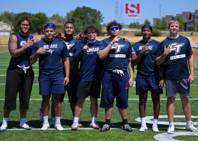 Football: All-time Hog Wars champions