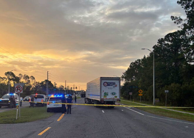 Man fleeing immigration officers in Florida is struck and killed by tractor trailer, police say