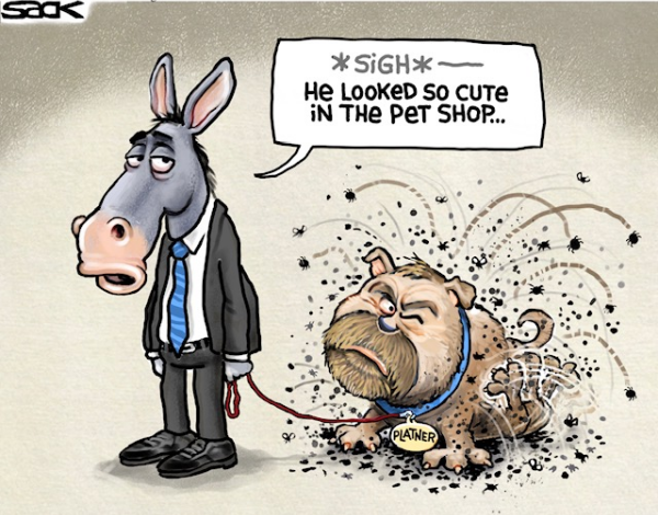 Toon in Friday