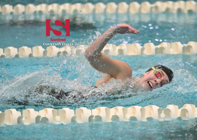 Girls Swimming: Smoky Hill, Grandview swimmers named Academic All-Americans by NISCA