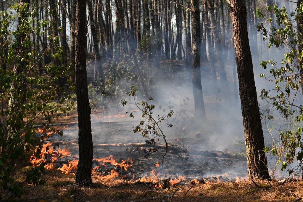 France battles wildfire 4 times the size of Paris as tinderbox heat threatens new surge