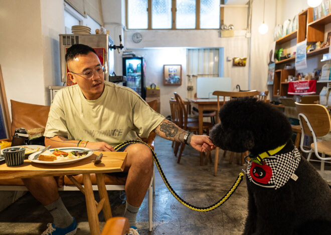 Hong Kong eateries welcome dogs as city relaxes ban