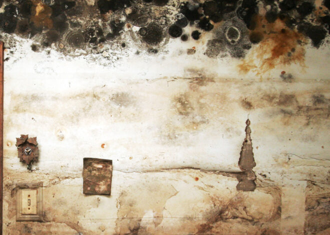 Study suggests the threat of mold-associated illnesses may be underappreciated