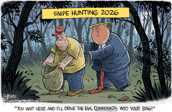 Toon in Wednesday