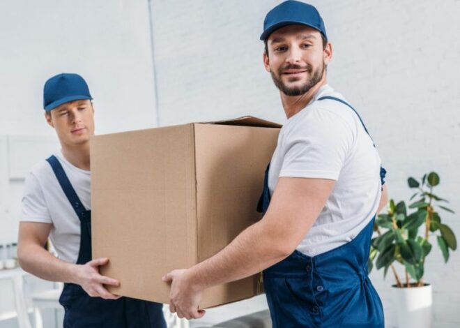 Nevada Movers: Expert Packing, Moving, and Storage Services