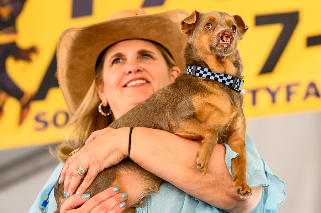 Photos show the World’s Ugliest Dog Contest in California