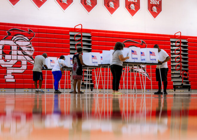 Democratic primary turnout has soared in some states. Can it carry over to November?
