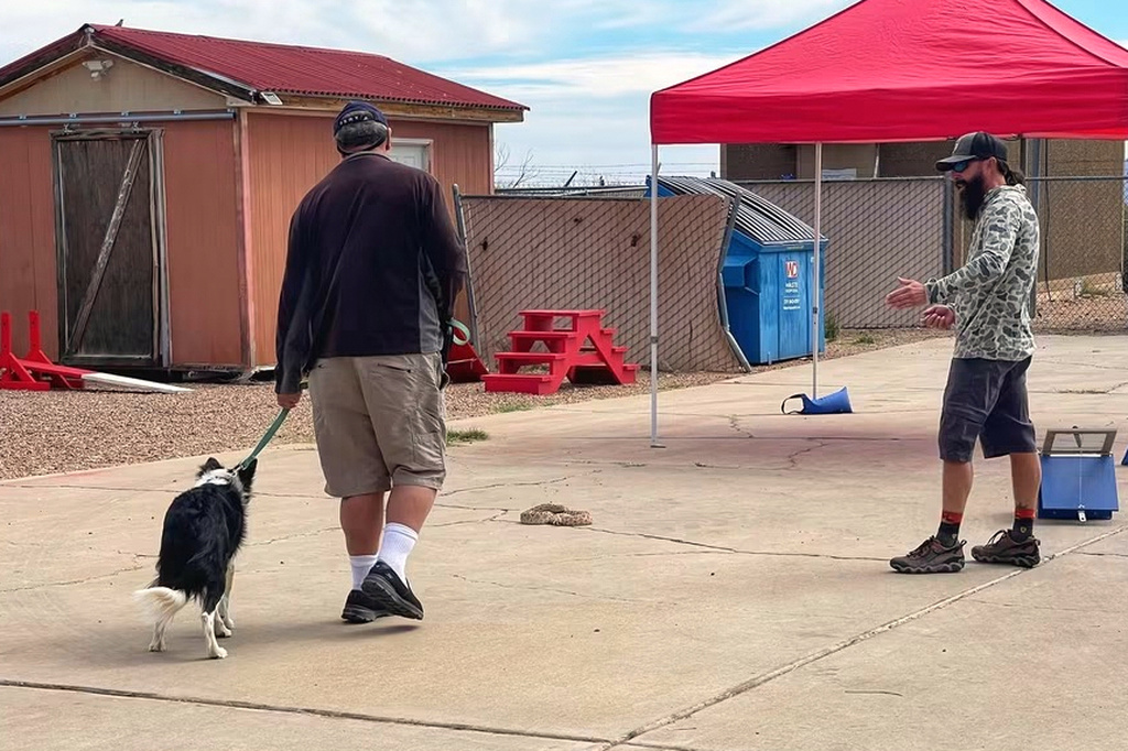 Leave it: Dog trainers help pets avoid venomous snakes