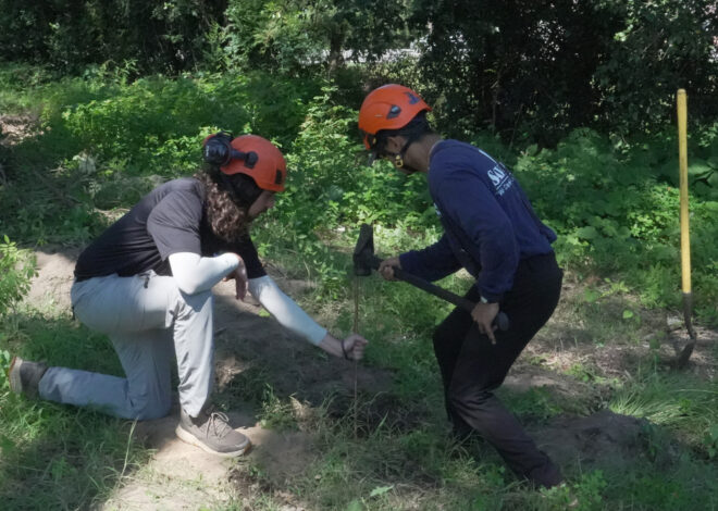 Preservationists are working to extend the life of a rare Revolutionary War ‘witness tree’