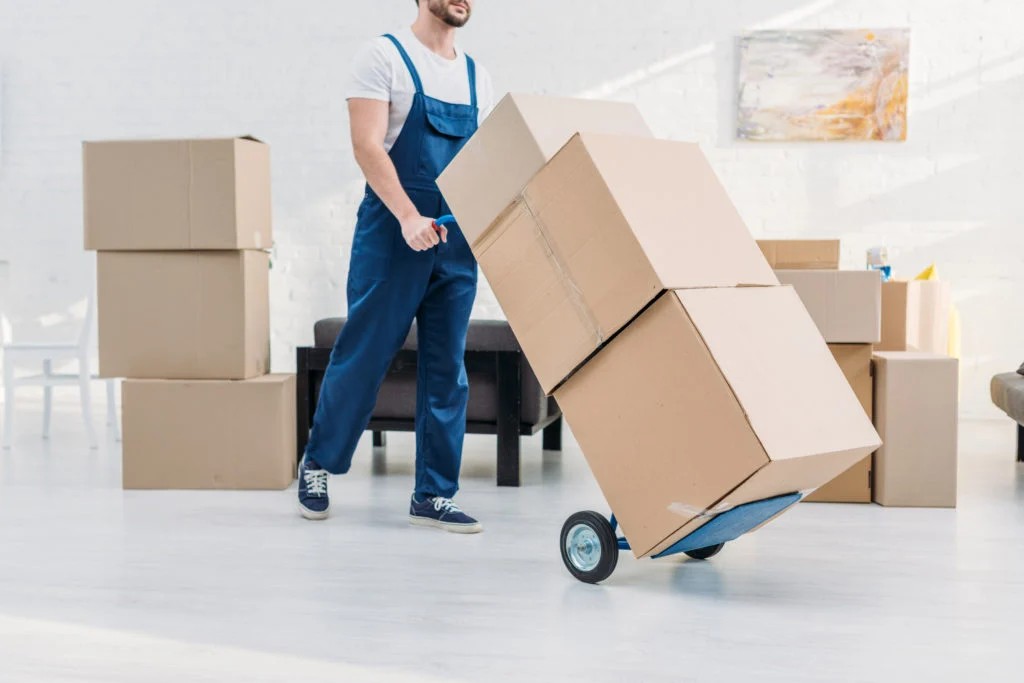 Moving Along Main Street in Dunedin: A Local Relocation Guide